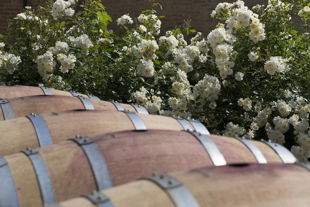 Marchesi Alfieri - Cantine E Ospitalita San Martino Alfieri Exteriör bild